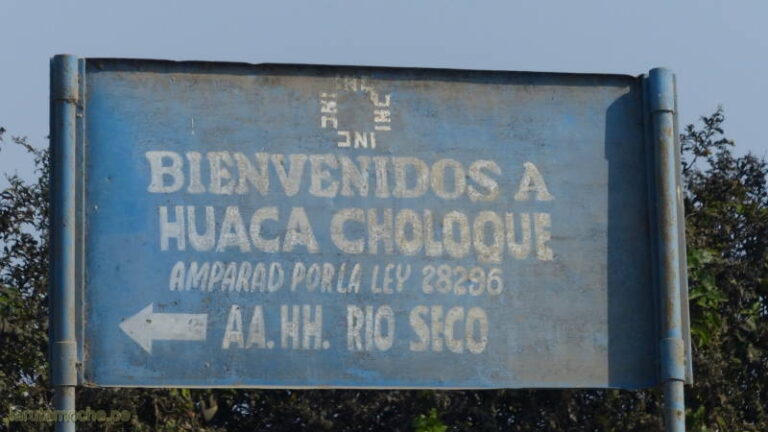 acholoque 006